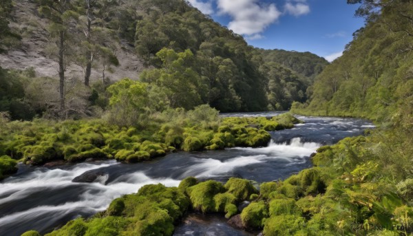 outdoors,sky,day,cloud,water,tree,blue sky,no humans,cloudy sky,grass,nature,scenery,forest,mountain,river,landscape,rock,waterfall