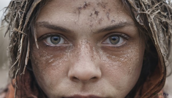 1girl,solo,looking at viewer,simple background,brown hair,1boy,white background,brown eyes,closed mouth,male focus,blurry,lips,eyelashes,portrait,close-up,freckles,reflection,realistic,eye focus,black hair,dirty