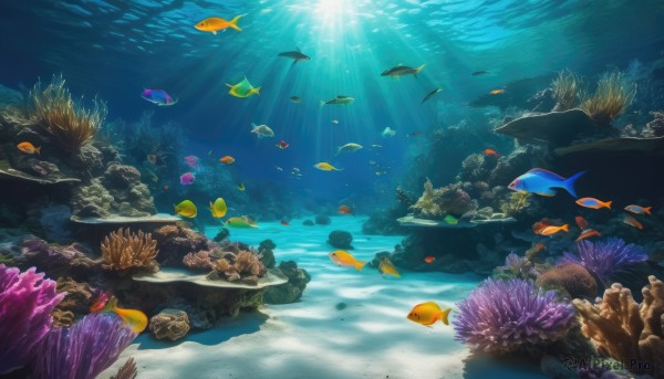 outdoors,water,no humans,ocean,animal,sunlight,scenery,fish,bubble,light rays,rock,underwater,air bubble,sunbeam,swimming,turtle,caustics,coral,seaweed,starfish