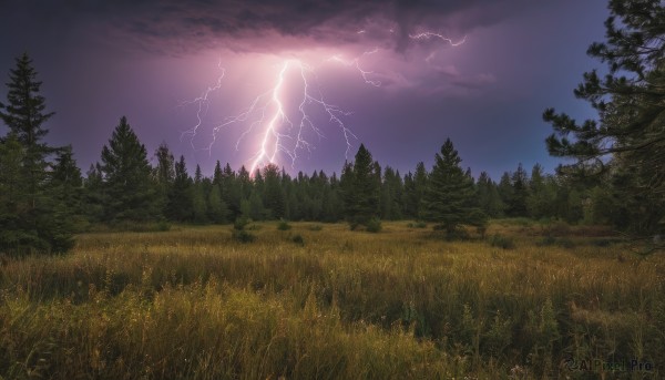 outdoors,sky,cloud,tree,no humans,night,cloudy sky,grass,nature,scenery,forest,mountain,electricity,field,lightning,landscape,purple sky