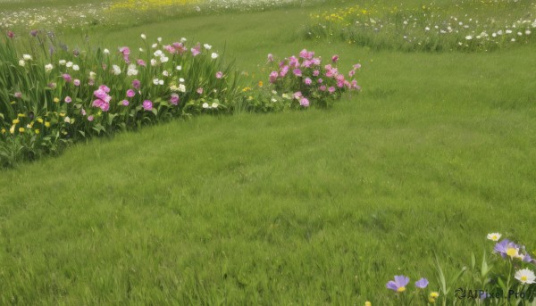 A unique subject framed by the beauty of a lush day