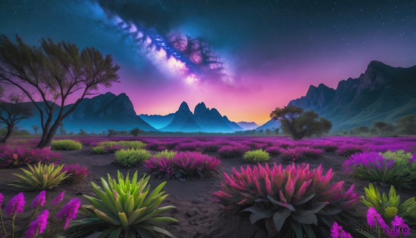 flower, outdoors, sky, tree, no humans, night, star (sky), nature, night sky, scenery, starry sky, mountain, landscape, mountainous horizon, purple sky