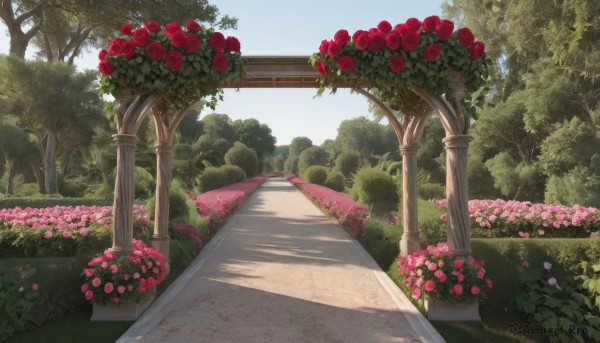 flower,outdoors,sky,day,tree,blue sky,no humans,shadow,rose,sunlight,grass,plant,red flower,nature,scenery,pink flower,forest,red rose,road,bush,pillar,path,arch,garden,column,cloud,white flower,stairs,pink rose