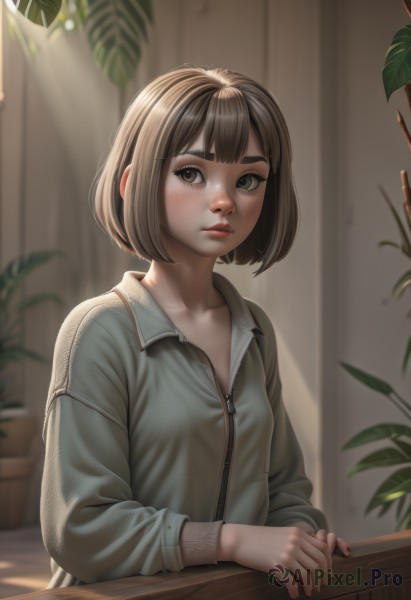 1girl,solo,breasts,looking at viewer,blush,short hair,bangs,brown hair,shirt,long sleeves,brown eyes,closed mouth,collarbone,upper body,small breasts,parted lips,collared shirt,indoors,blurry,lips,blurry background,table,sunlight,bob cut,thick eyebrows,own hands together,plant,curtains,grey shirt,zipper,freckles,nose,potted plant,jacket,artist name,nail polish,fingernails,eyelashes,realistic,zipper pull tab