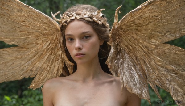 1girl,solo,long hair,looking at viewer,brown hair,brown eyes,collarbone,upper body,nude,outdoors,parted lips,wings,blurry,lips,grey eyes,depth of field,blurry background,portrait,nature,feathered wings,freckles,realistic,nose,yellow wings,breasts,blue eyes,closed mouth,day,head wings,angel wings,angel,gold,laurel crown