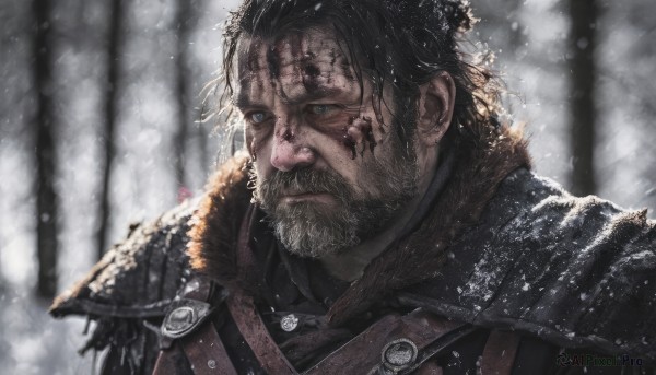 solo,short hair,blue eyes,black hair,1boy,closed mouth,upper body,male focus,outdoors,armor,blurry,tree,blood,blurry background,facial hair,scar,shoulder armor,portrait,nature,beard,scar on face,snow,forest,pauldrons,blood on face,snowing,realistic,mustache,scar across eye,manly,looking at viewer,looking to the side,grey eyes,fur trim,depth of field,serious