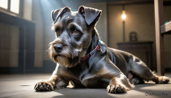 A stunning dog captured in sunlight