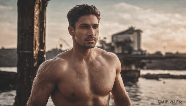 solo,looking at viewer,short hair,brown hair,black hair,1boy,closed mouth,nipples,upper body,male focus,nude,outdoors,sky,dark skin,water,blurry,wet,muscular,blurry background,facial hair,pectorals,muscular male,bara,beard,topless male,realistic,watercraft,manly,chest hair,photo background,brown eyes,day,cloud,cloudy sky,large pectorals,veiny arms