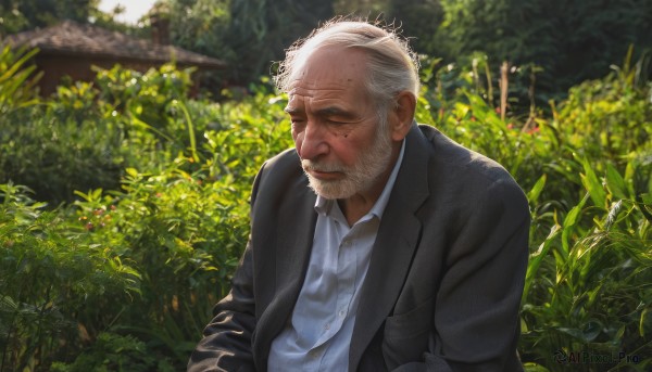 solo,short hair,shirt,1boy,jacket,closed eyes,white shirt,upper body,white hair,male focus,outdoors,day,collared shirt,mole,blurry,black jacket,mole under eye,blurry background,facial hair,formal,thick eyebrows,suit,plant,beard,mature male,realistic,old,old man,photo background,garden,long sleeves,closed mouth,grey hair,open clothes,open jacket,tree,lips,dress shirt,scar,looking down,sunlight,grass,nature,scar on face,forest,nose,scar across eye,manly,black suit