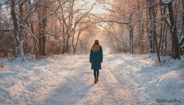 A charming snowy day featuring a female