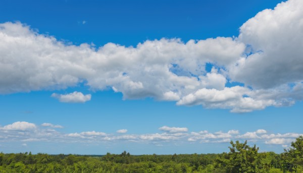 The serene presence of a landscape in a lush day