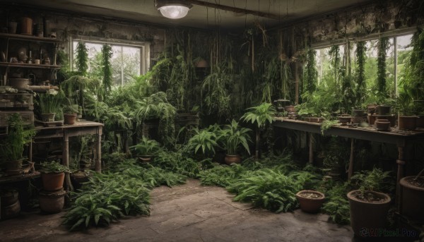 A indoors amidst a calm day