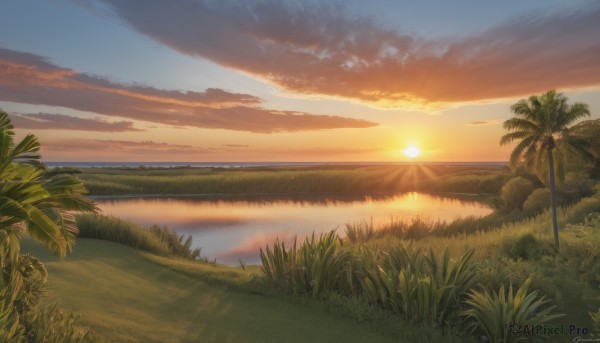 outdoors,sky,artist name,cloud,signature,water,tree,no humans,ocean,beach,sunlight,cloudy sky,grass,plant,nature,scenery,reflection,sunset,palm tree,sun,horizon,evening,shore,orange sky,forest,bush,landscape,lake,gradient sky