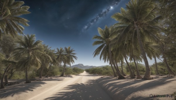 outdoors,sky,day,cloud,tree,blue sky,no humans,night,shadow,beach,sunlight,plant,star (sky),nature,night sky,scenery,starry sky,sand,palm tree,shade,signature,grass,shooting star,desert