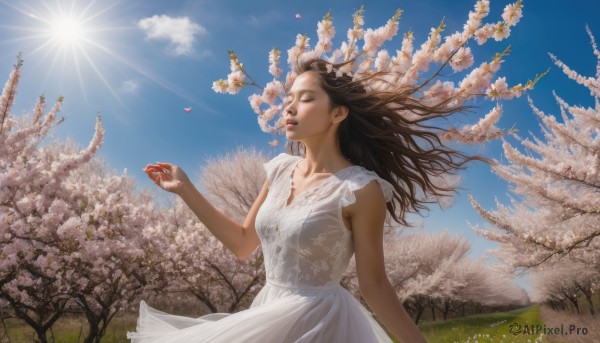 1girl, solo, long hair, brown hair, black hair, dress, closed eyes, flower, outdoors, sky, day, cloud, white dress, tree, blue sky, petals, sunlight, grass, cherry blossoms, wind, realistic, sun