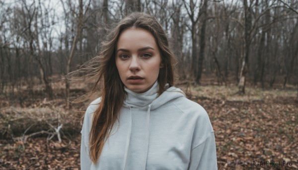 1girl,solo,long hair,looking at viewer,brown hair,brown eyes,upper body,outdoors,parted lips,day,hood,blurry,black eyes,tree,lips,hoodie,blurry background,hood down,nature,forehead,forest,realistic,white hoodie,bare tree,photo background,jacket,coat,depth of field,expressionless,wind,snow,winter