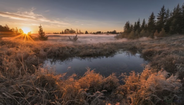 outdoors,sky,cloud,water,tree,no humans,sunlight,cloudy sky,grass,plant,nature,scenery,forest,reflection,sunset,mountain,sun,field,river,evening,landscape,lake,orange sky,bird,sunrise