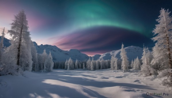 outdoors,sky,cloud,tree,no humans,night,star (sky),nature,night sky,scenery,snow,forest,starry sky,mountain,winter,landscape,pine tree,aurora,rainbow,gradient sky