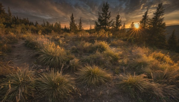 outdoors,sky,cloud,water,tree,no humans,sunlight,cloudy sky,grass,plant,nature,scenery,forest,sunset,mountain,sun,horizon,river,landscape,pine tree