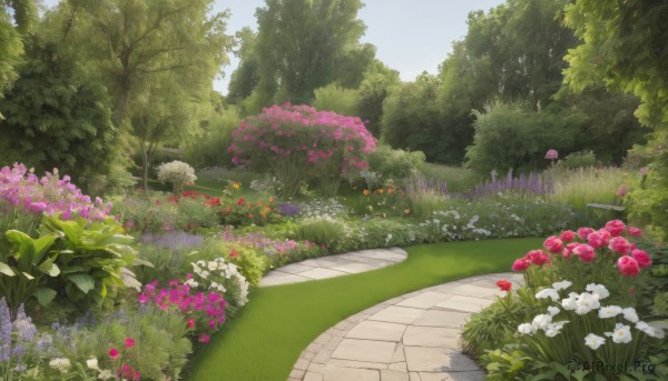 A garden in a serene day