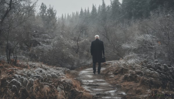 solo,long sleeves,1boy,holding,standing,white hair,male focus,outdoors,pants,bag,from behind,tree,coat,black pants,nature,scenery,snow,forest,walking,black coat,facing away,wide shot,bare tree,short hair,boots,sky,black footwear,black jacket,grey sky