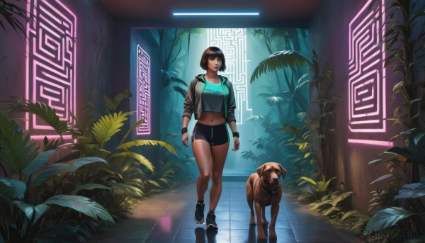 1girl,solo,breasts,looking at viewer,short hair,bangs,brown hair,black hair,navel,brown eyes,jewelry,medium breasts,standing,jacket,full body,open clothes,shoes,shorts,midriff,indoors,dark skin,black footwear,bracelet,open jacket,dark-skinned female,tree,lips,crop top,short shorts,animal,leaf,black shorts,plant,bike shorts,wristband,sneakers,reflection,walking,science fiction,dog,sports bra,nose,tiles,tile floor,wide shot,cyberpunk,reflective floor,neon lights,hood,makeup,bob cut,cropped jacket,toned,sleeves pushed up,shiba inu