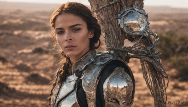 1girl,solo,long hair,looking at viewer,blue eyes,brown hair,closed mouth,upper body,braid,outdoors,armor,blurry,lips,single braid,blurry background,shoulder armor,portrait,hair over shoulder,pauldrons,breastplate,realistic,fantasy,day,depth of field,expressionless