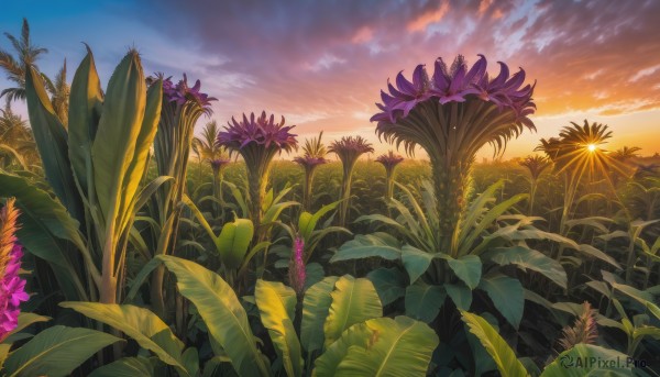 A unique subject in a breathtaking sunset outdoors