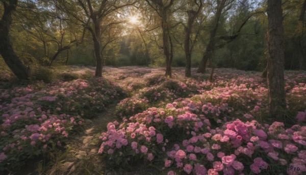 flower, outdoors, sky, day, tree, no humans, sunlight, grass, nature, scenery, pink flower, forest, field, flower field