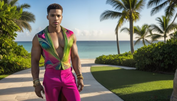 HQ,solo,looking at viewer,short hair,brown hair,shirt,black hair,1boy,brown eyes,jewelry,standing,male focus,cowboy shot,outdoors,parted lips,open clothes,sky,sleeveless,day,pants,cloud,dark skin,water,vest,bracelet,tree,blue sky,lips,open shirt,muscular,shadow,ocean,beach,dark-skinned male,pectorals,plant,realistic,palm tree,arms at sides,horizon,bush,pectoral cleavage,pink pants,bangle