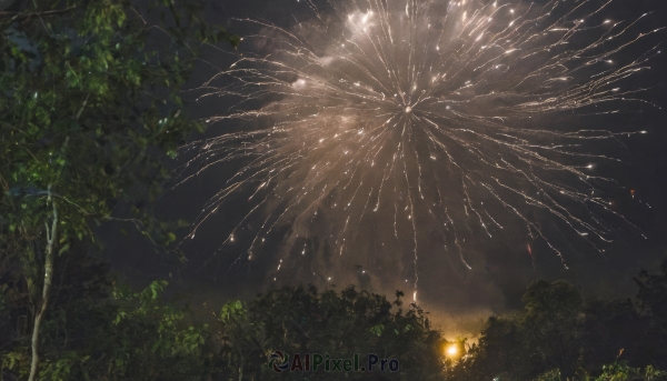 outdoors,sky,cloud,tree,no humans,night,plant,nature,night sky,scenery,forest,lantern,light,fireworks,aerial fireworks,signature,star (sky),dark