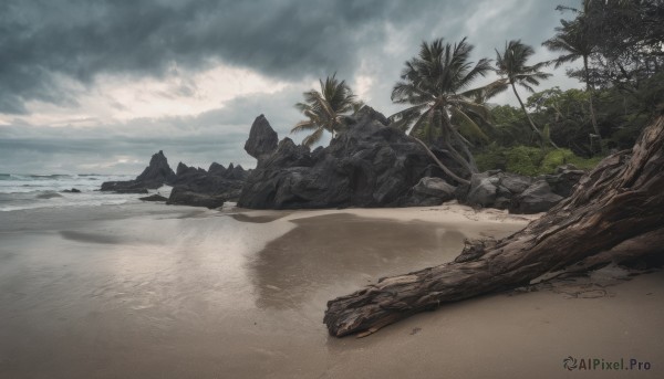 outdoors, sky, day, cloud, tree, no humans, ocean, beach, cloudy sky, scenery, rock, sand, palm tree, shore