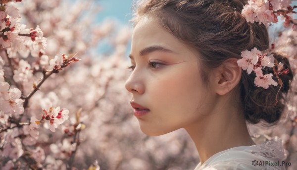 1girl, solo, short hair, brown hair, brown eyes, flower, outdoors, parted lips, day, blurry, from side, lips, profile, depth of field, blurry background, cherry blossoms, portrait, realistic, nose, branch