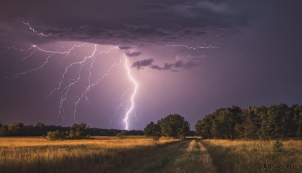 outdoors,sky,cloud,tree,no humans,cloudy sky,grass,nature,scenery,forest,fence,electricity,road,field,lightning,landscape,path,purple sky,horizon,dark