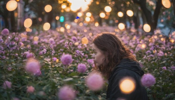 1girl, solo, long hair, brown hair, upper body, flower, outdoors, parted lips, hood, blurry, from side, lips, profile, depth of field, hood down, nature, realistic, purple flower