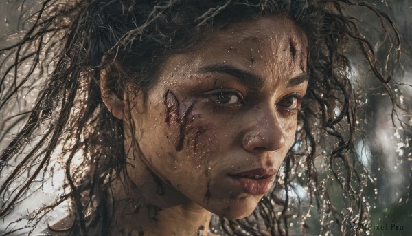 1girl,solo,long hair,looking at viewer,brown hair,black hair,brown eyes,closed mouth,dark skin,blurry,black eyes,dark-skinned female,lips,blood,messy hair,portrait,rain,injury,blood on face,realistic,nose,dirty,dirty face,outdoors,parted lips,tree,nature,close-up,forest,freckles,branch