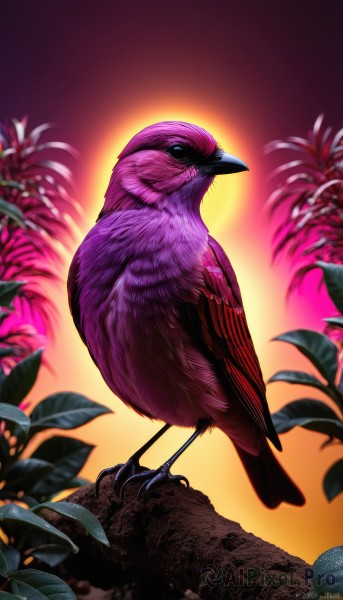 solo,looking at viewer,full body,outdoors,blurry,black eyes,from side,no humans,bird,animal,leaf,feathers,plant,backlighting,flying,sunset,realistic,animal focus,talons,beak,closed mouth,standing,sky,artist name,gradient,gradient background,watermark,animalization