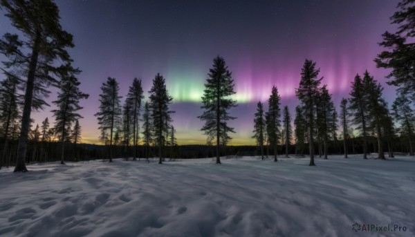 A glimpse of a unique subject in a ethereal snowy outdoors