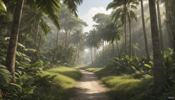 outdoors,sky,day,artist name,cloud,tree,blue sky,no humans,leaf,watermark,sunlight,grass,plant,nature,scenery,forest,palm tree,bush,shade,signature,water,blurry,dated,cloudy sky,landscape,path