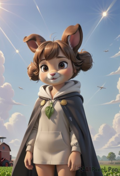 1girl,solo,looking at viewer,blush,smile,short hair,bangs,brown hair,long sleeves,animal ears,brown eyes,standing,tail,ahoge,cowboy shot,outdoors,sky,day,artist name,cloud,hood,hair bun,cape,flat chest,tree,blue sky,double bun,hoodie,sunlight,hood down,grass,ground vehicle,no pants,building,child,cloak,motor vehicle,furry,aircraft,furry female,arms at sides,sun,drawstring,female child,airplane,house,animal nose,contrail,dragonfly,flower,leaf,dog ears,freckles