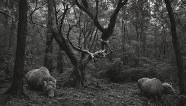 A unique subject in a serene outdoors