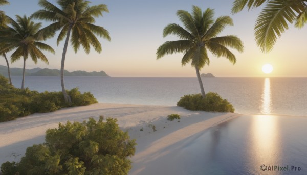 A idyllic unique subject within a beautiful sunset day