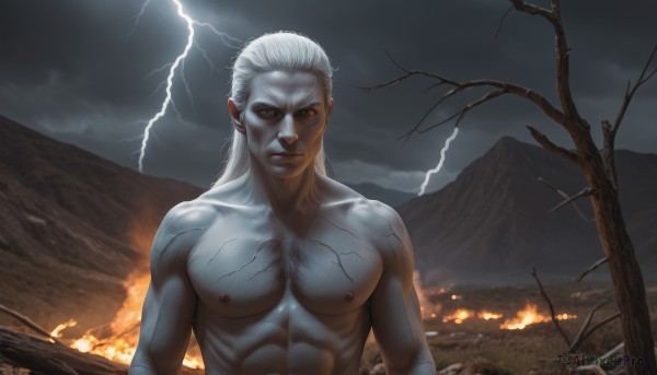 solo,looking at viewer,1boy,brown eyes,closed mouth,nipples,upper body,white hair,male focus,outdoors,sky,cloud,tree,muscular,colored skin,scar,abs,cloudy sky,fire,pectorals,muscular male,bara,scar on face,veins,topless male,mountain,realistic,manly,old,old man,bare tree,lightning,burning,long hair,collarbone,no humans