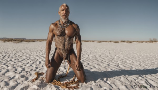 solo,breasts,looking at viewer,1boy,nipples,full body,male focus,nude,outdoors,day,dark skin,kneeling,shadow,science fiction,realistic,sand,alien,photo background,what,desert,jewelry,sky,necklace,no humans,muscular,bald