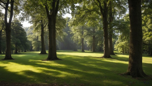The wonder of a landscape in a picturesque day