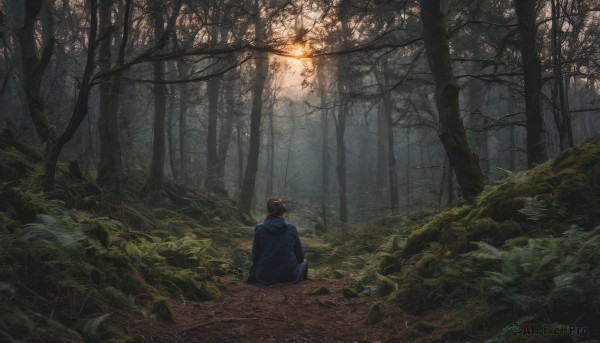 1girl, solo, brown hair, 1boy, sitting, outdoors, hood, from behind, tree, hoodie, hood down, nature, scenery, forest, dark