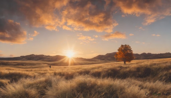The charm of a female in a tranquil sunset outdoors