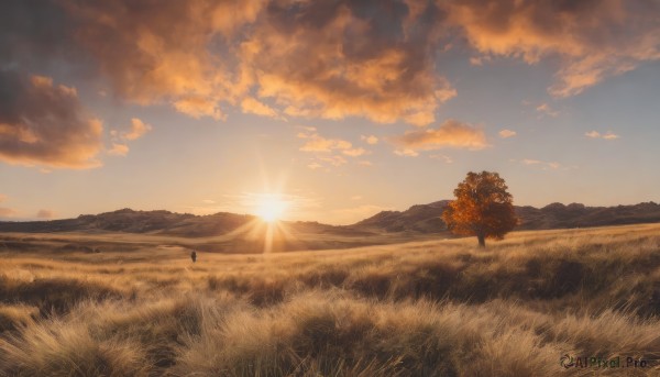 outdoors,sky,cloud,tree,blue sky,no humans,bird,sunlight,cloudy sky,grass,nature,scenery,sunset,mountain,sun,field,landscape,mountainous horizon,orange sky,hill,1girl,solo,black hair,standing,signature,very wide shot