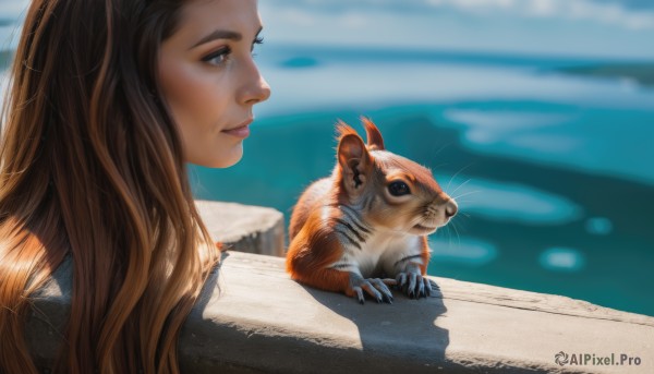 A cat set against the backdrop of a breathtaking day