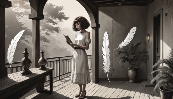 1girl,solo,short hair,brown hair,dress,holding,bare shoulders,brown eyes,closed mouth,standing,sleeveless,indoors,dark skin,white dress,dark-skinned female,tree,book,window,sleeveless dress,shadow,sandals,table,sunlight,feathers,plant,scenery,armlet,curly hair,wooden floor,paper,door,railing,potted plant,grey dress,clipboard,quill,smile,black hair,jewelry,full body,holding book,sundress,reading